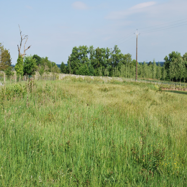 Offres de vente Terrain Langon 33210